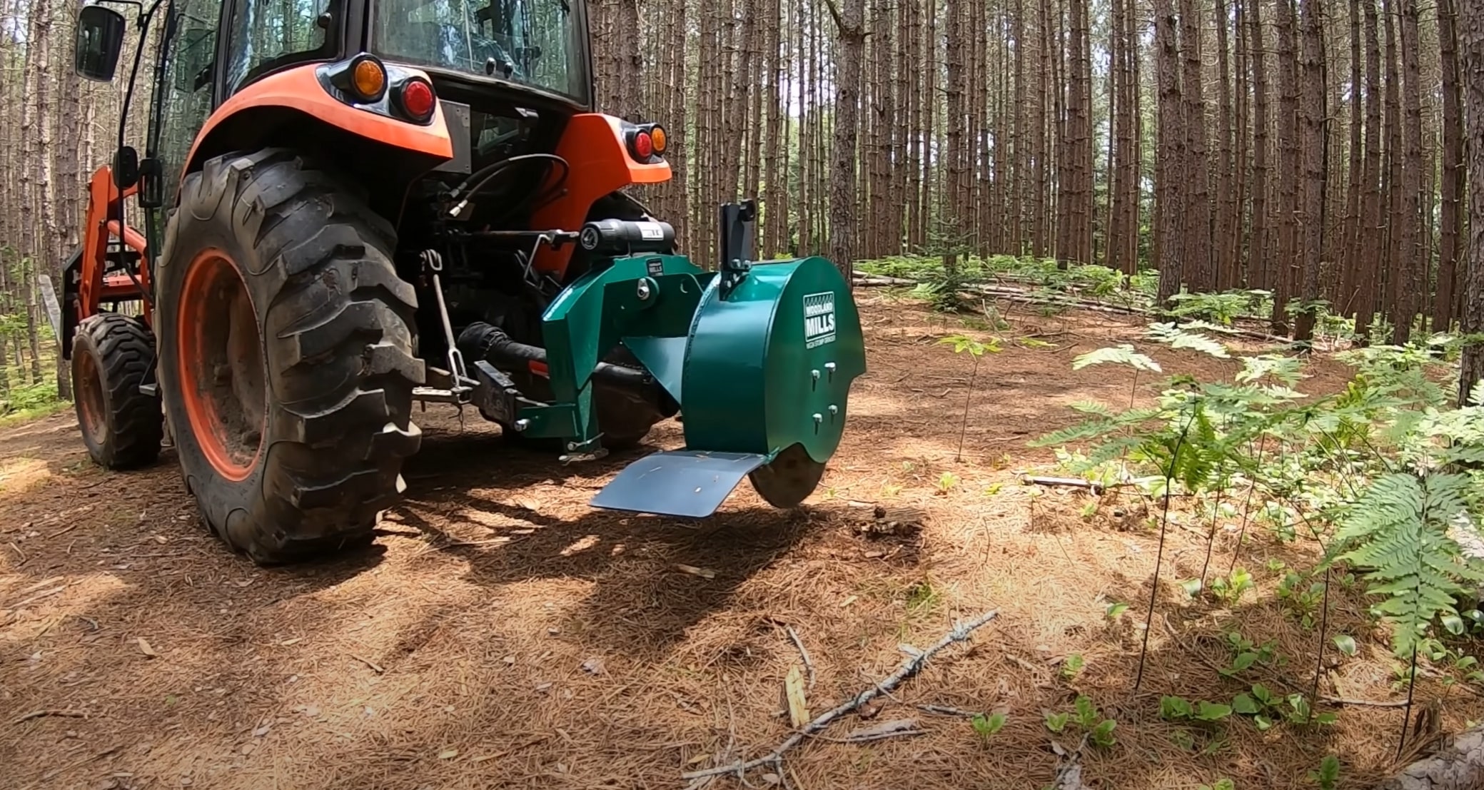 Stump Grinding & Removal service in Carson, CA